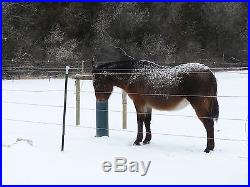 Horse, Cattle Waterer THE WATERING POST, Frost Proof, Simple, Sanitary! 60 inch