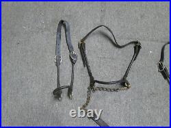 Lot of 6 Dairy/Beef Round Nose Cattle Show Halter, SEE DETAILS