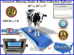 NTEP (Legal for Trade) Livestock Cattle, Vet Alleyway Scale 5000 lbs x 1 lb