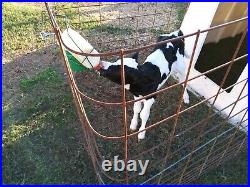 Polydome Calf Warmer Calves Dairy Beef Cattle Farm Ranch Livestock Goats Lambs