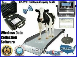 SellEton Op-929 Livestock & Cattle Alleyway Scale 5000 Lbs X 1 Lb