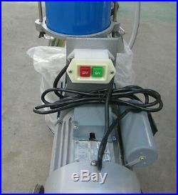 Two Buckets piston Milking Machine For Cows