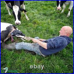 Veterinary Calf Puller 65 & OB Chain 60 Birthing Calving Supplies 2 Pcs Set